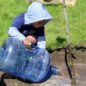 Child watering newly planted tree